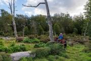 Mitten durch den ziemlich wilden Urwald