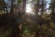Durch den Wald