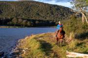 Delphine beim weiteren Ausritt am See